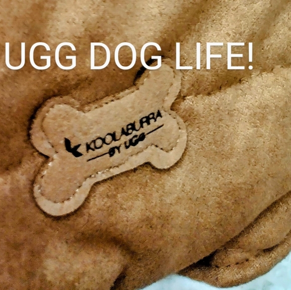 KOOLABURRA BY UGG  FOR DOGS - Picture 3 of 5